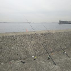 サバならデカい！