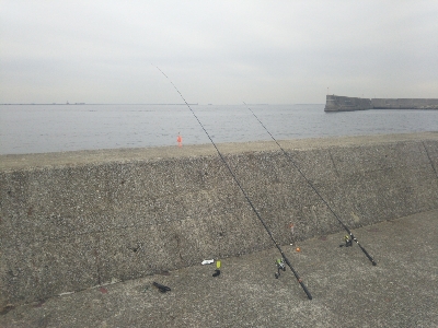 サバならデカい！