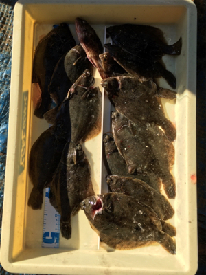 最後の釣行かな！