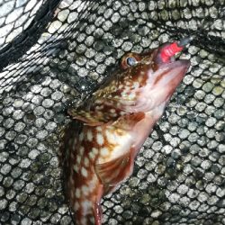 ナイトメバリング