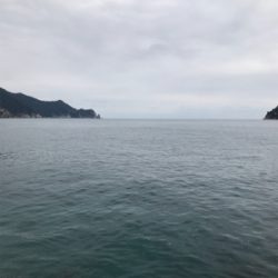 アオリイカ釣果！