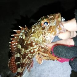 連チャンメバリング