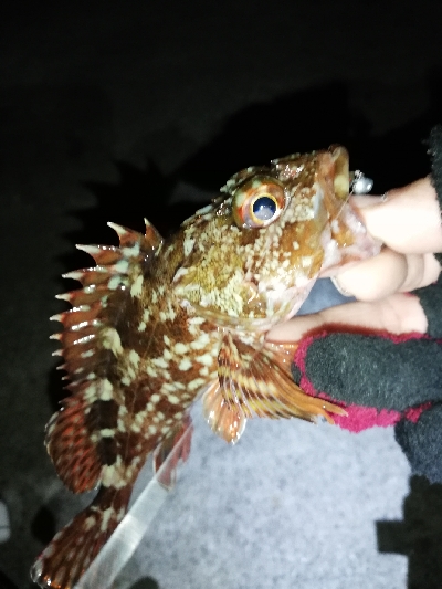 連チャンメバリング