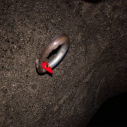 初穴釣りΣ（ﾟдﾟlll）