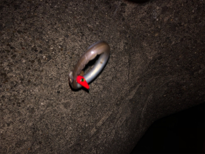 初穴釣りΣ（ﾟдﾟlll）