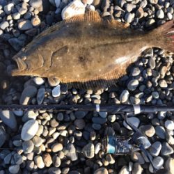 大遠征のサーフゲーム