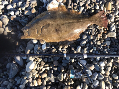 大遠征のサーフゲーム