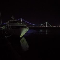 初釣り メバリング