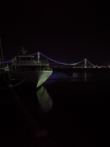 初釣り メバリング