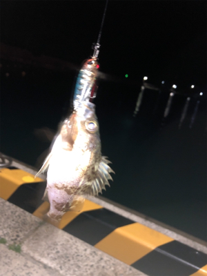 メバリングしてきました♪