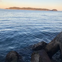 元旦のリベンジ。今年の初青物