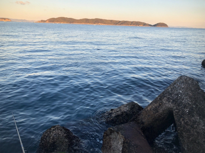 元旦のリベンジ。今年の初青物