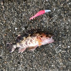 サイズが・・・