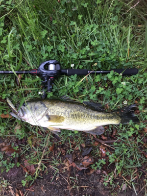 日帰り 河口湖釣行