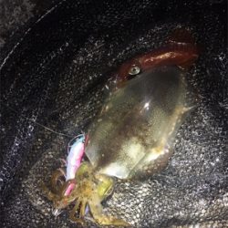 またまた。。。。