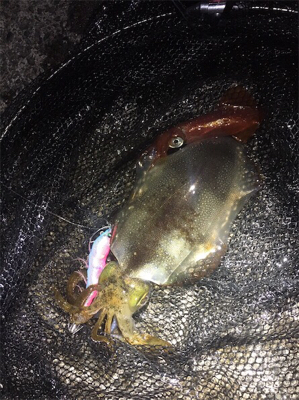 またまた。。。。