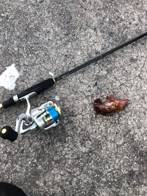 デイロックゲーム