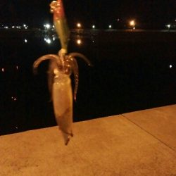 ヒイカエギング