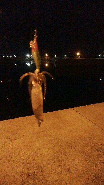 ヒイカエギング