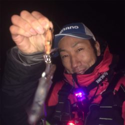 ヒイカは何処に?