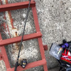 初釣りはまさかの…