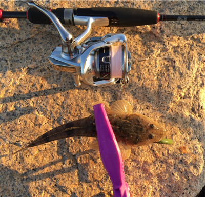 淀川ブリームゲーム 初釣り