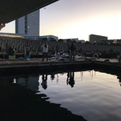 今年初釣りは釣堀