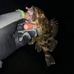 意外と良型が！