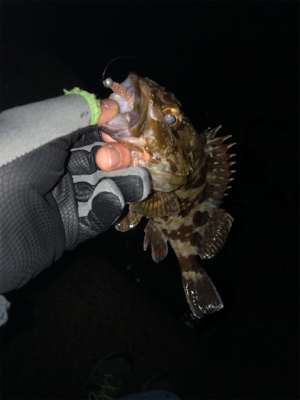 意外と良型が！