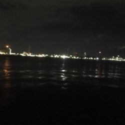 今日もマスビートブチ曲がり