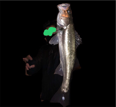 ついにアミパターン攻略