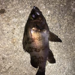 当たりも少ない