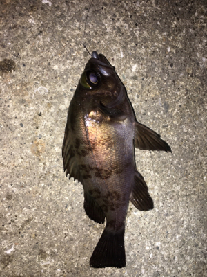 当たりも少ない