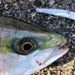 ジャスト70㎝^_^！ようやくゲット♪