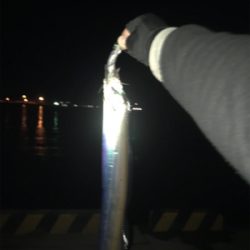 居ったら釣れます!