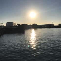 のんびりエビ撒き