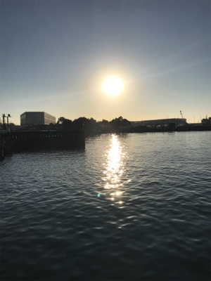 のんびりエビ撒き