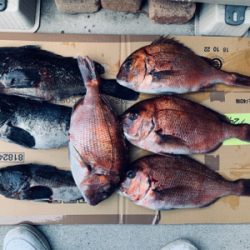 爆風の中なんとか