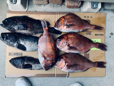 爆風の中なんとか