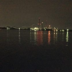 ご無沙汰しております