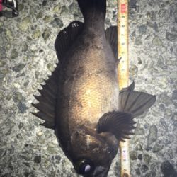 貝塚メバリング！サイズ、数ともに良し(^^)