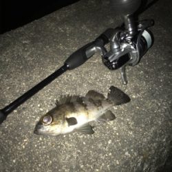 フロートメバリング