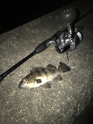 フロートメバリング