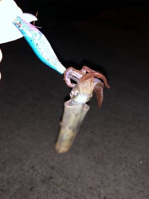 釣りしまくった