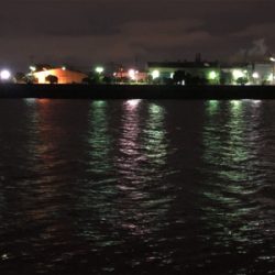 やっぱりシンペン