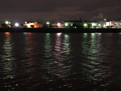 やっぱりシンペン