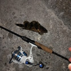 尺を求めて( ̄∀ ̄)