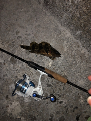 尺を求めて( ̄∀ ̄)