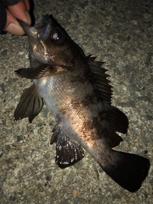 なんとか、、、