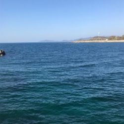 久しぶりのエギング❗️